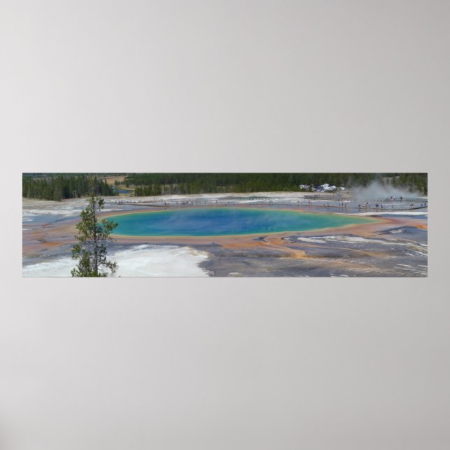 Póster Gran Primavera Primaria Yellowstone (Frente)