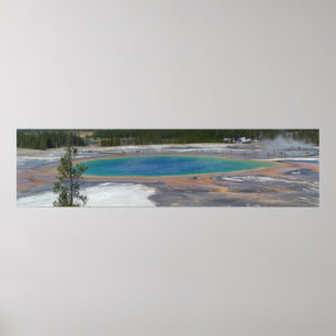 Póster Gran Primavera Primaria Yellowstone