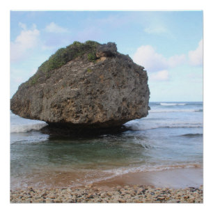 Póster Gran Roca de Barbados en Bathsheba 