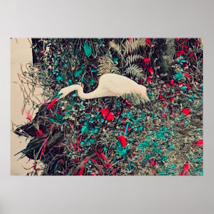 Póster Gran Rojo Egret