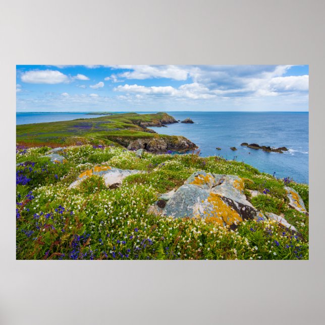 PÓSTER GRAN SALTEE, ISLAS SALTEE, IRLANDA (Frente)