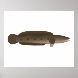 Póster Gran Snakehead