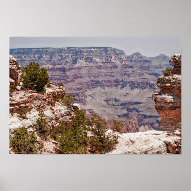 Póster Gran visión del pato (Frente)