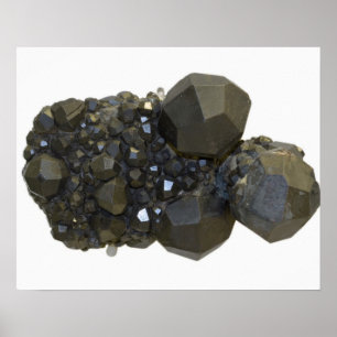 Póster Granate en forma natural