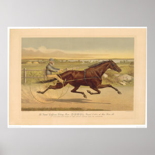Póster Grand California Trotting Mare Sunol (0652A)
