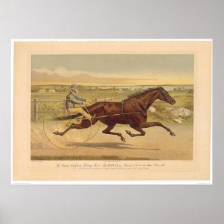 Póster Grand California Trotting Mare Sunol (0652A)
