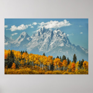 Póster Grand Teton Mountains in the Fall