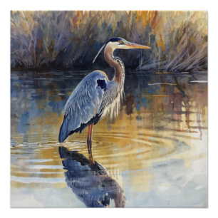 Póster Grandes acuarelas de garzas azules del río