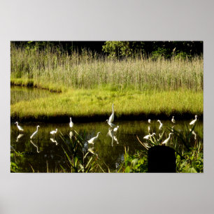 Póster Grandes alevines en el pantano