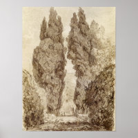 Grandes cipreses en la Villa d'Este