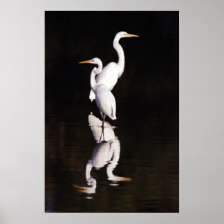 Póster Grandes Egresiones