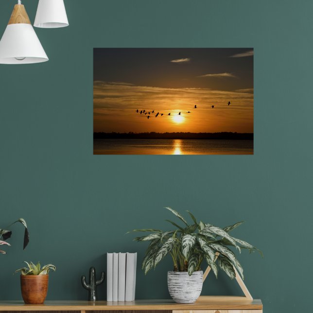 Póster Grandes garras al atardecer (Salón 1)