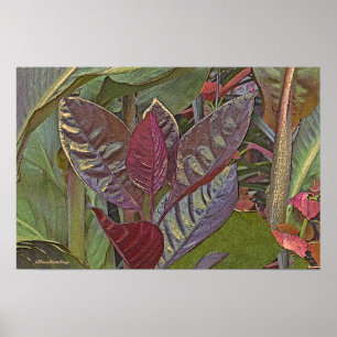 PÓSTER "GRANDES HOJAS DE PLANTA DE CUERO ROJO" (FOTOGRAFÍ