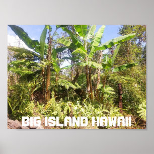 PÓSTER GRANDES ISLAS HAWAII ÁRBOLES DE BANANA