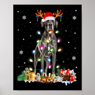 Póster Grandes Navidades de daneses Santa Hat alumbran Pa