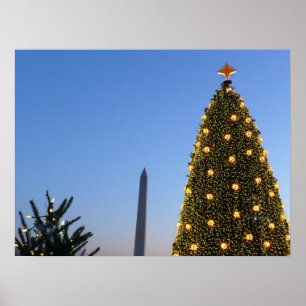 Póster Grandes y pequeños árboles de Navidad en DC
