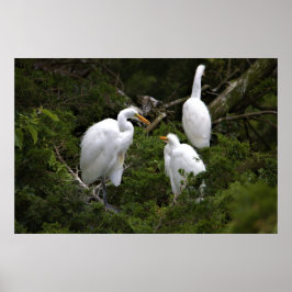 Póster Grandeza con bebé