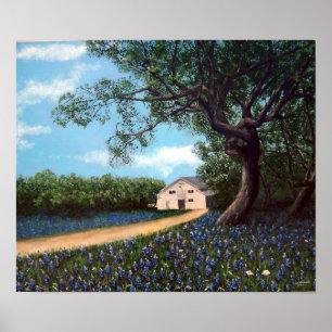 Póster Granero con Bluebonnets