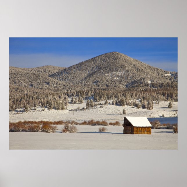 Póster Granero de madera sentado en la nieve cerca de Bou (Frente)