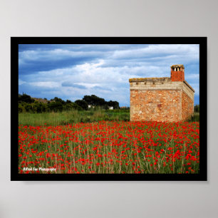 Póster Granero en campo floral de amapolas