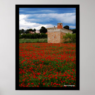 Póster Granero en retrato de campo de amapolas