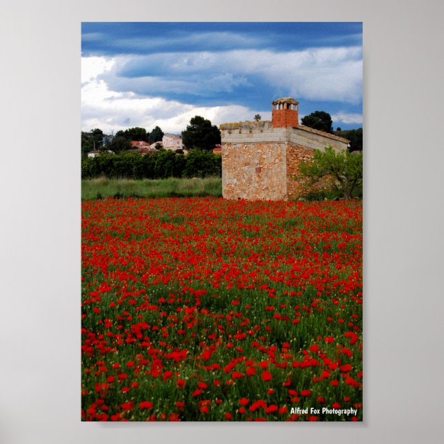 Póster Granero en retrato de campo de amapolas (Frente)