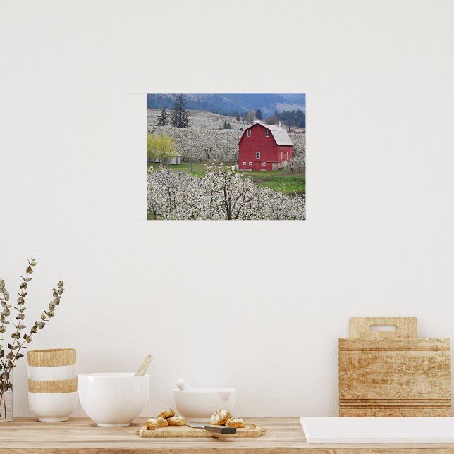 Póster Granero Rojo Escénico y Flor de Peral (Cocina)