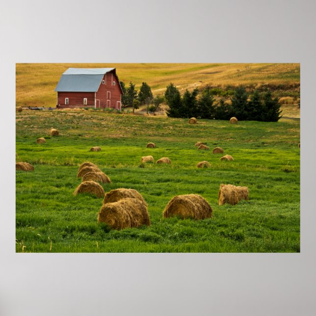 Póster Granero Rojo, pacas de heno, Albion, Área Palouse  (Frente)