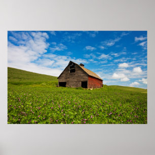 Póster Granero viejo y rojo en el campo de los garbanzos