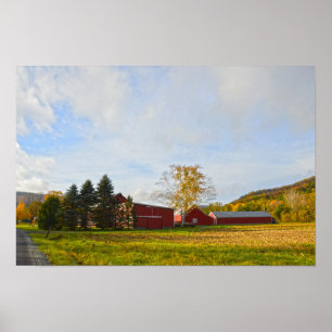 Póster Graneros rojos de Vermont en otoño