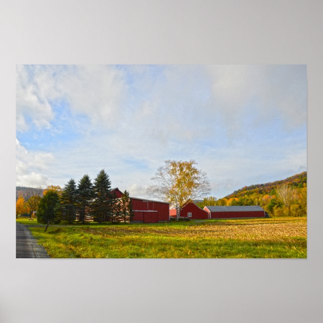 Póster Graneros rojos de Vermont en otoño (Frente)