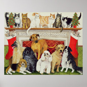 Póster Granes expectaciones