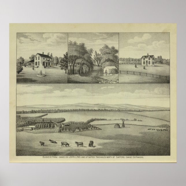 Póster Granja Buckeye, Condado de Chase, Kansas (Frente)