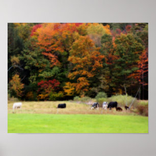 Póster Granja Caída Vacas Folias En El Campo Orton Art