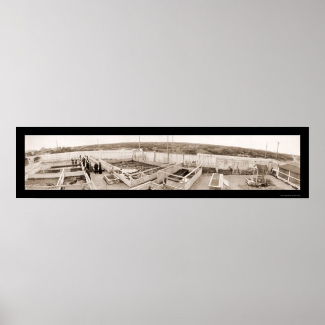 Póster Granja coligadora Florida Foto 1910 (Frente)