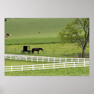 Póster Granja de Amish con el caballo y Berlín cercana