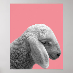 Póster Granja de animales ovejas foto guardería habitació