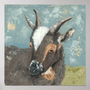 Póster Granja de cabra gris