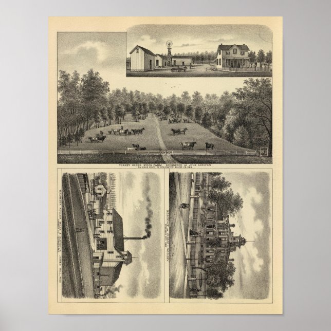 Póster Granja de Creek de Turquía, Nebraska (Frente)