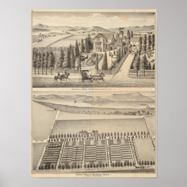 Póster Granja de Curtis, Tracto de Poirier (Frente)