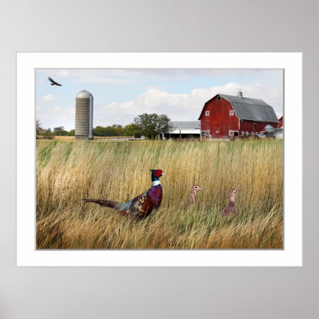 Póster Granja de faisán (Frente)