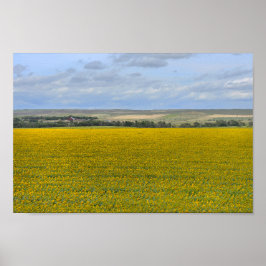 Póster Granja de girasoles de Dakota del Sur, Painterly