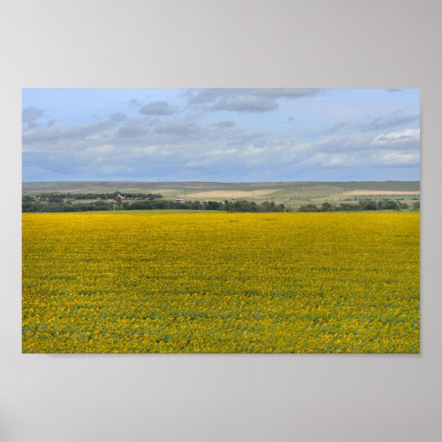 Póster Granja de girasoles de Dakota del Sur, Painterly (Frente)