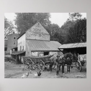 Póster Granja de Pensilvania, 1906. Foto antigua