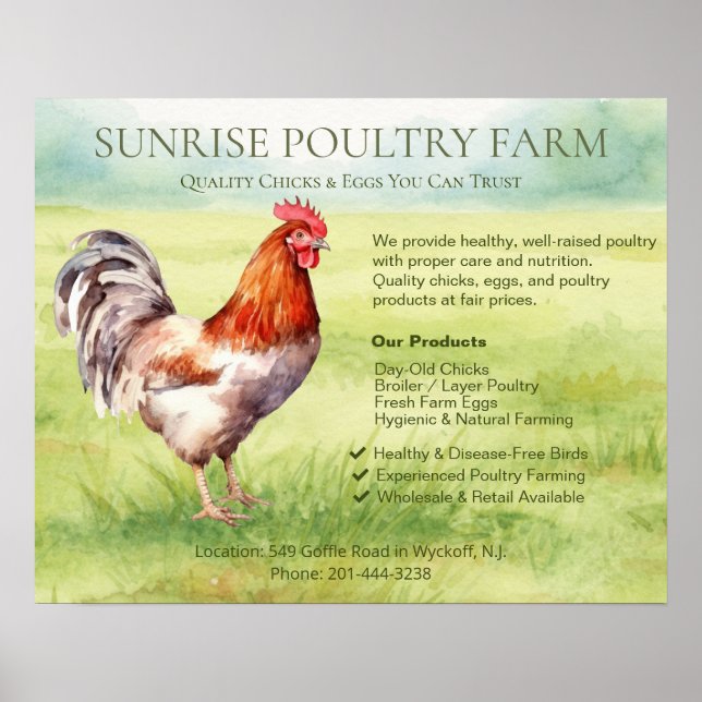 Póster Granja de Pollos (Frente)