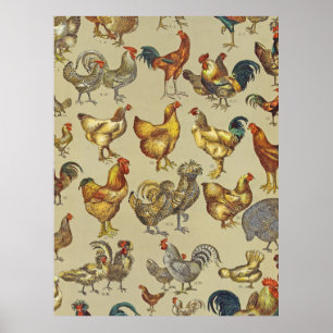 Póster Granja de pollos gallo país animal