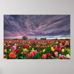 Póster Granja del tulipán en poster de la estación de