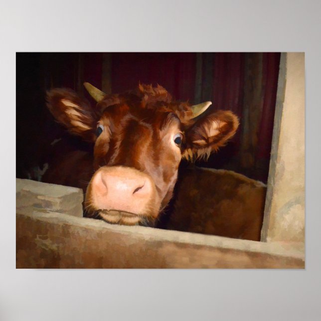 Póster Granja divertida de granjas de vacas rústicas marr (Frente)