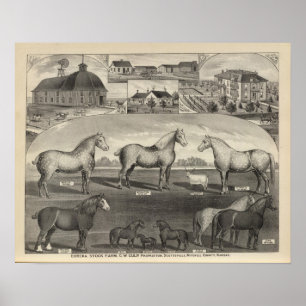 Póster Granja Eureka Stock Farm, Scottsville, Kansas