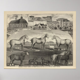 Póster Granja Eureka Stock Farm, Scottsville, Kansas
